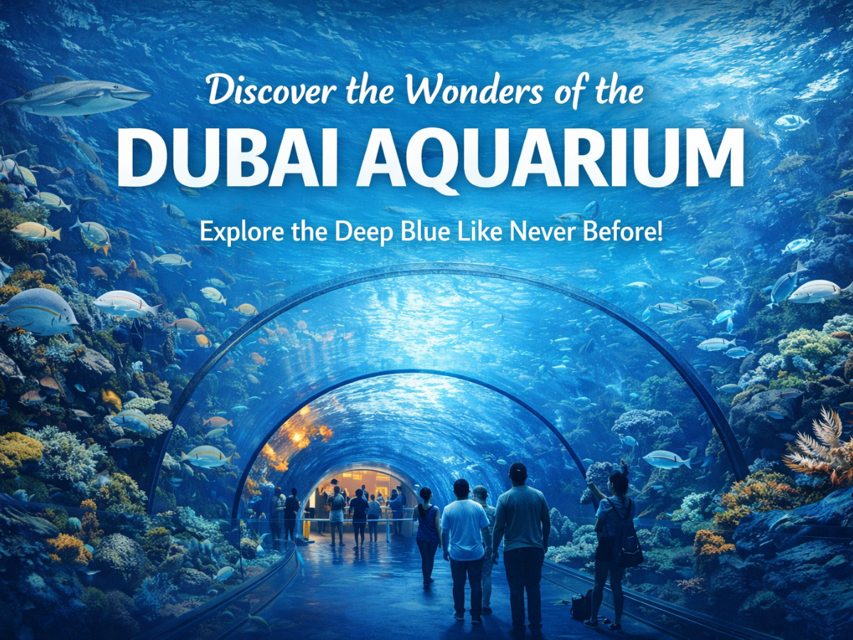 Best Dubai Package with Lost Chambers Aquarium