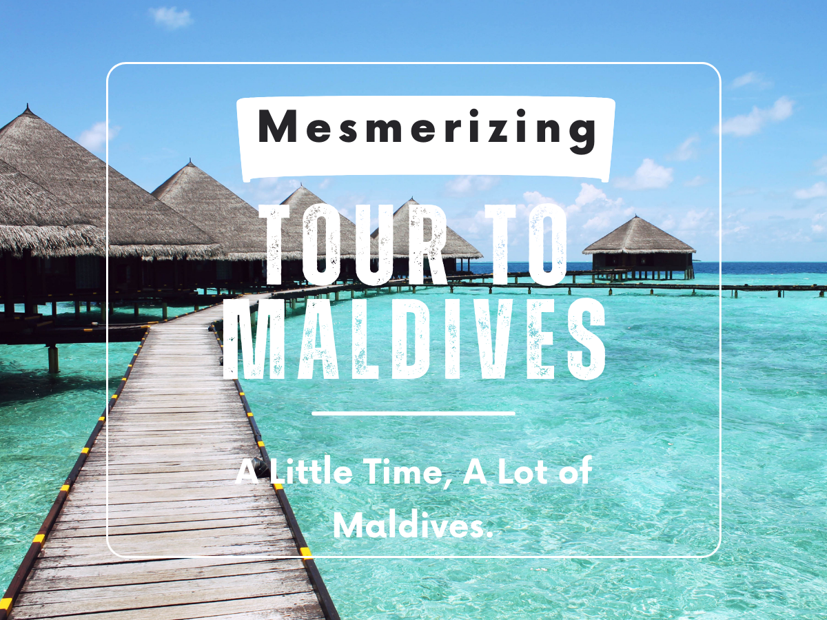 Mesmerizing Tour to Maldives