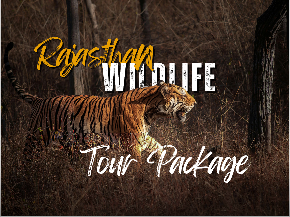 Rajasthan Wildlife Tour Package