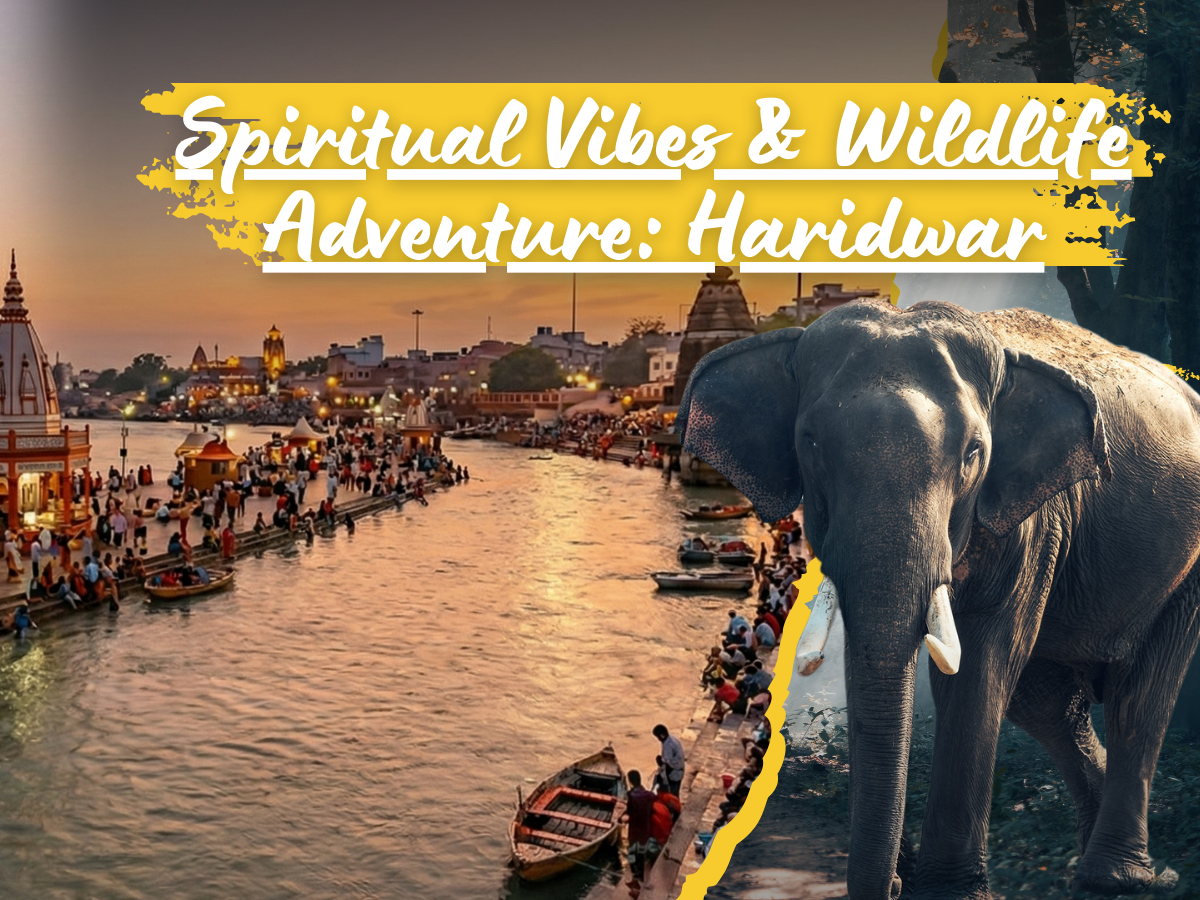 Spiritual Vibes & Wildlife Adventure: Haridwar