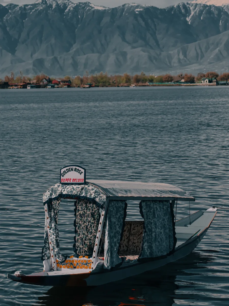 Kashmir